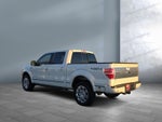 2013 Ford F-150 Platinum
