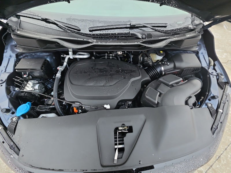2026 Honda Odyssey Elite